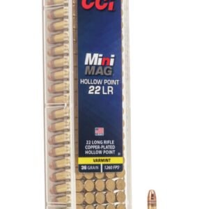 CCI MINI-MAG 22 LR HP 100 RDS